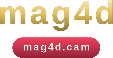 mag4d logo